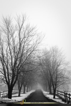 fog-2